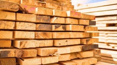 Kereste & Orman Ürünlerinde Dayanıklılık ve Çoklu Delik Sistemleri